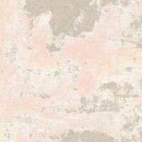 Anima Pink Natural 60X120