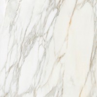 Borghini White Polished 120X260