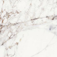 Calacatta Viola Polished 60X60