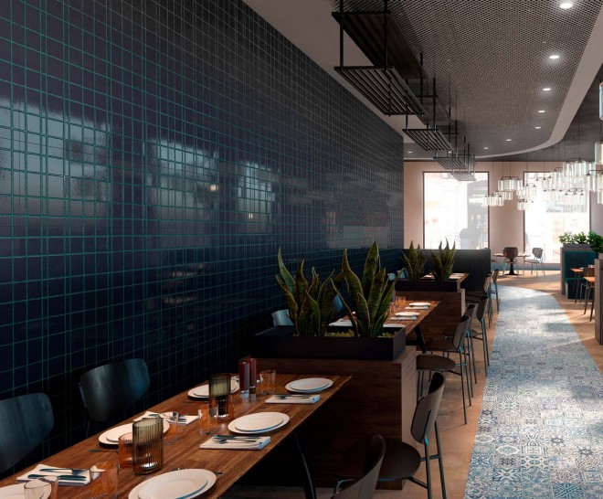 Elements Cobalt Frame 45X120