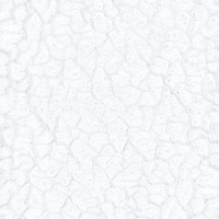 Elements White Crack Glossy 45X120