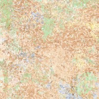 Emotion Red Natural 50X100