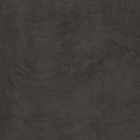 Equinox Anthracite Natural 120X120