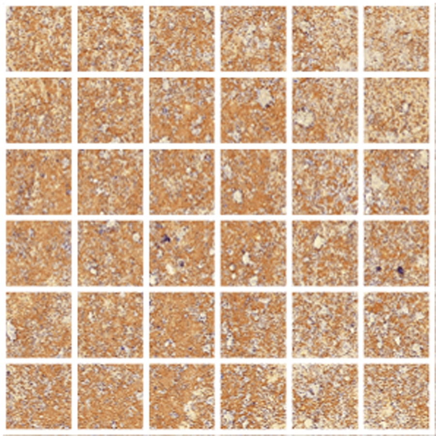 Fire Beige Nat Mos 5X5 30X30