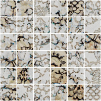 Inedita Beige Nat Mos 5X5 30X30