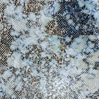 Inedita Blue Natural 50X100