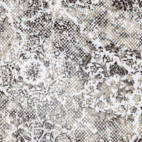 Inedita White Natural 50X100