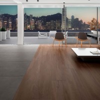 Equinox Grey Natural 60X120