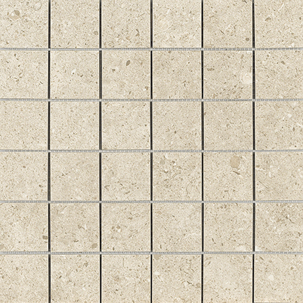 Nanoconcept Beige Nat Mos 5X5 30X30