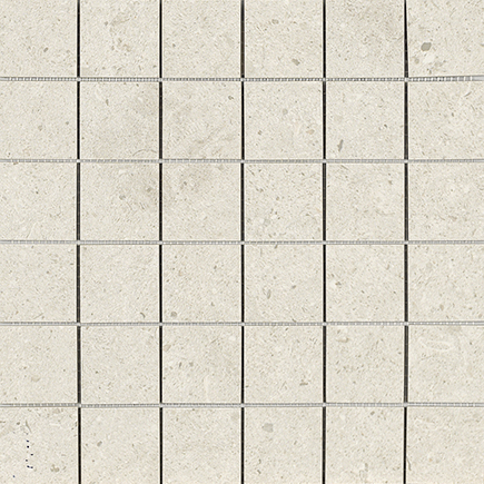 Nanoconcept White Nat Mos 5X5 30X30