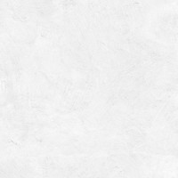 North White Spatulato 50X100