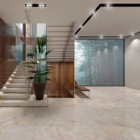 Onice Salmon Polished 120X300