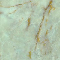 Onice Green Polished 120X120