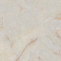 Onice Salmon Polished 120X300