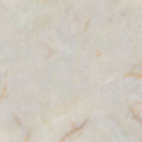 Onice Salmon Polished 120X120