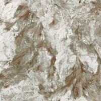 Patagonia Grey Polished 60X150