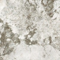 Patagonia Grey Polished 120X300