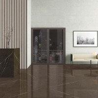 Pietra Grey Polished 120X120