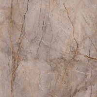 Wild Forest Grey Nat Mix 120X120