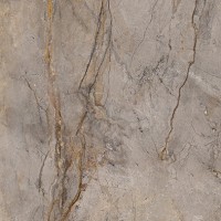 Wild Forest Grey Pulido 60X120