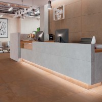 Zinc Copper Natural 30X60